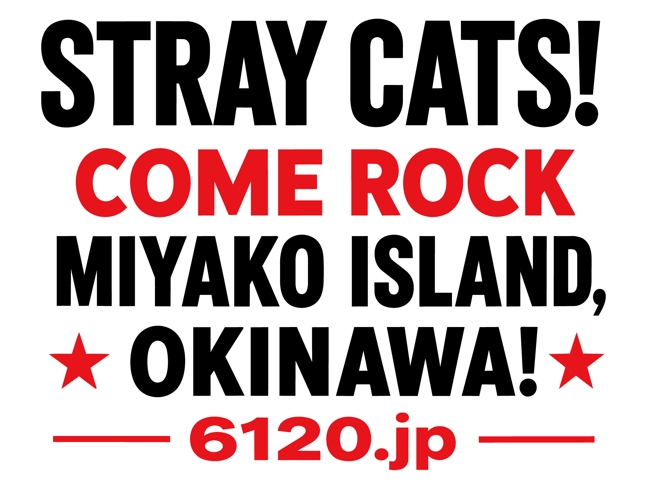 Stray Cats — Come Rock Miyako Island, Okinawa — 6120.jp